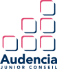 Logo de l'association Audencia Junior Conseil