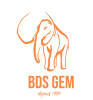 Logo de l'association Bureau des Sports GEM